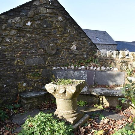 Crug Glas Country House St Davids Exteriér fotografie