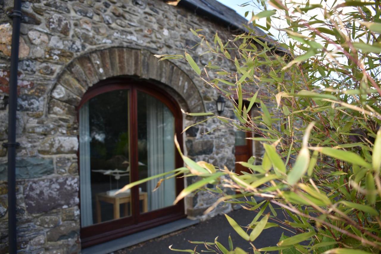 Crug Glas Country House St Davids Exteriér fotografie