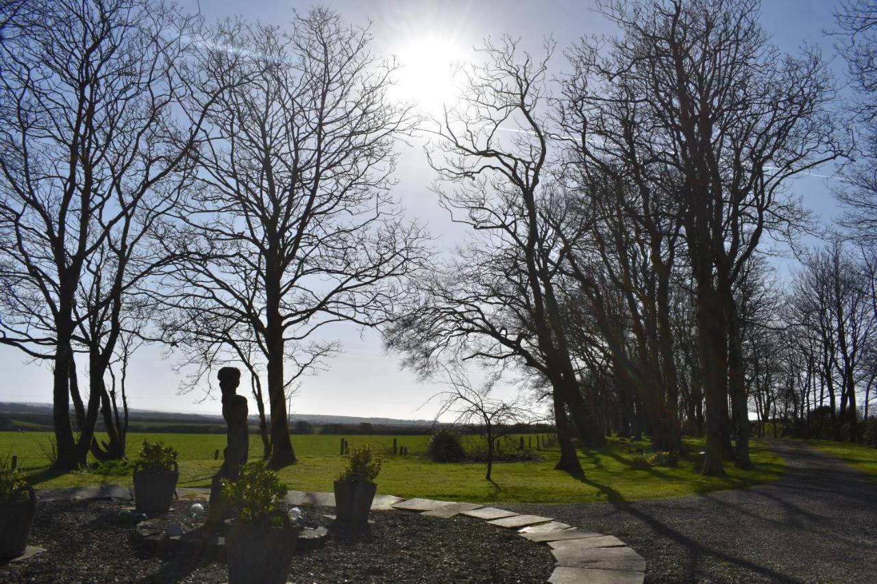 Crug Glas Country House St Davids Exteriér fotografie