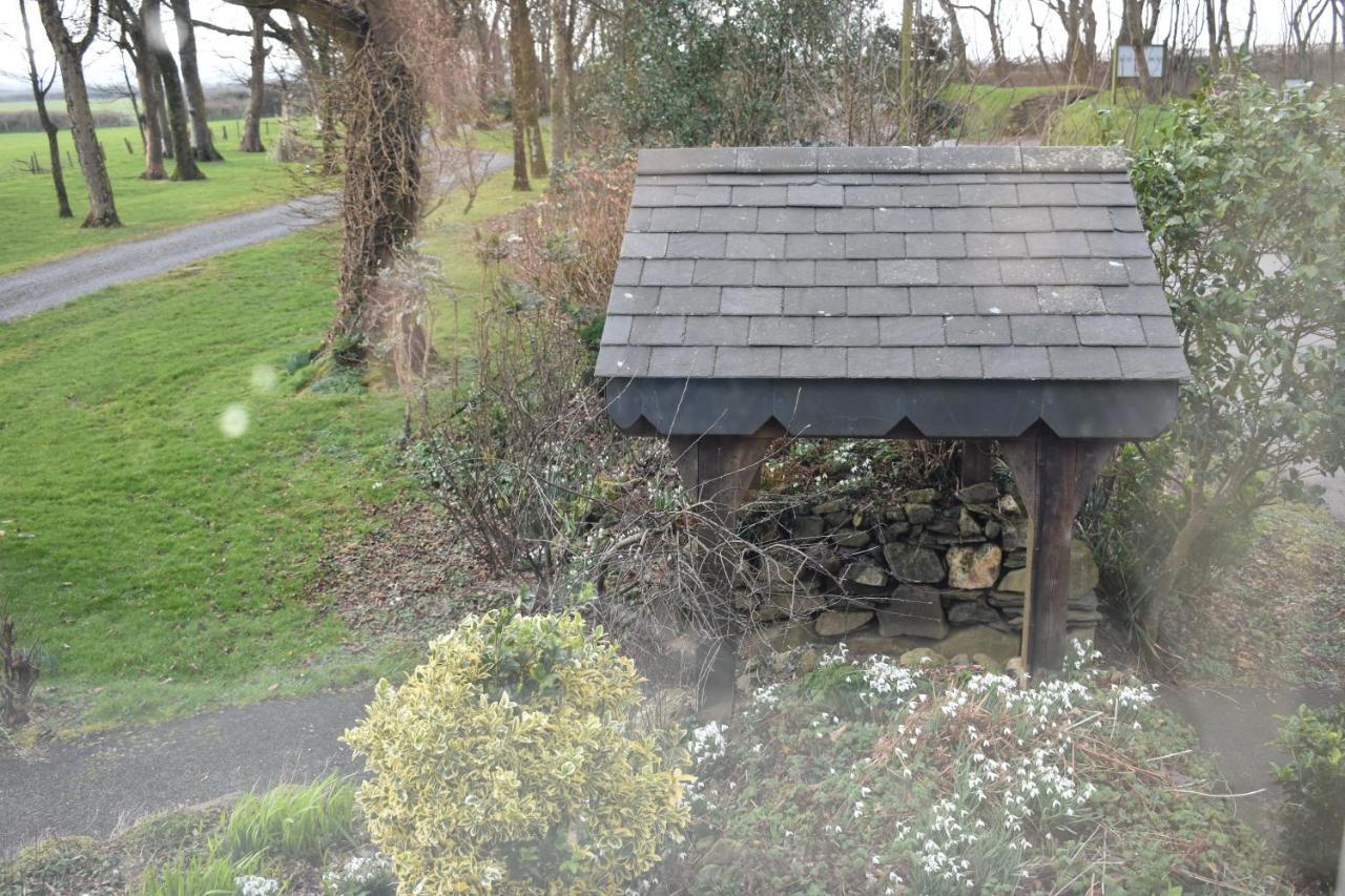 Crug Glas Country House St Davids Exteriér fotografie
