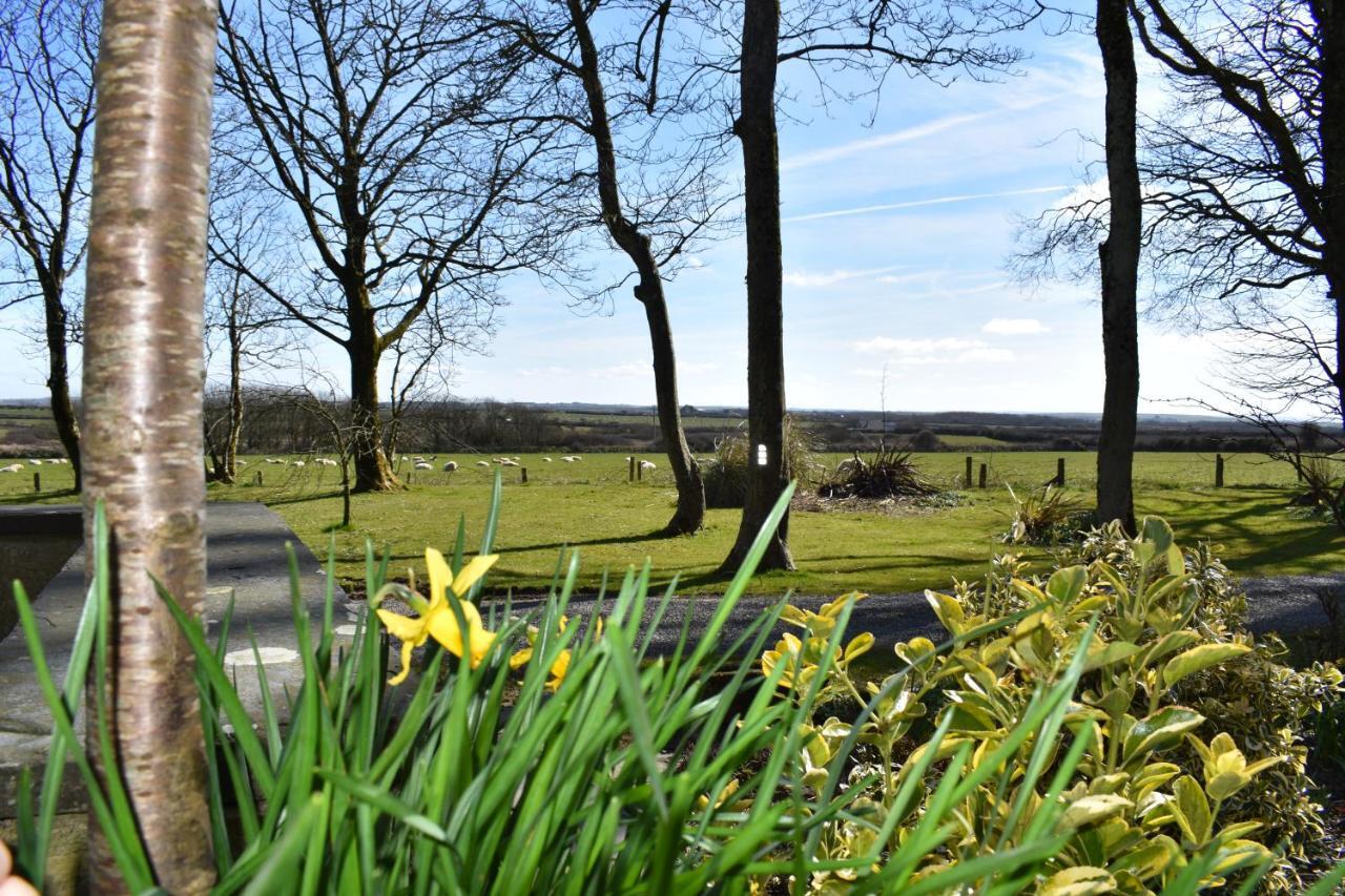 Crug Glas Country House St Davids Exteriér fotografie