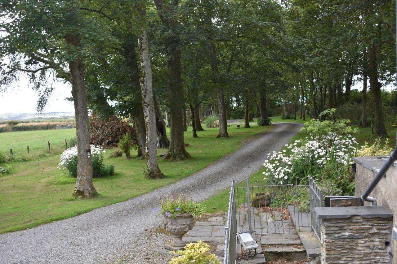 Crug Glas Country House St Davids Exteriér fotografie